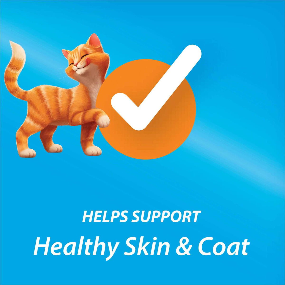 Dry Cat Food X649329