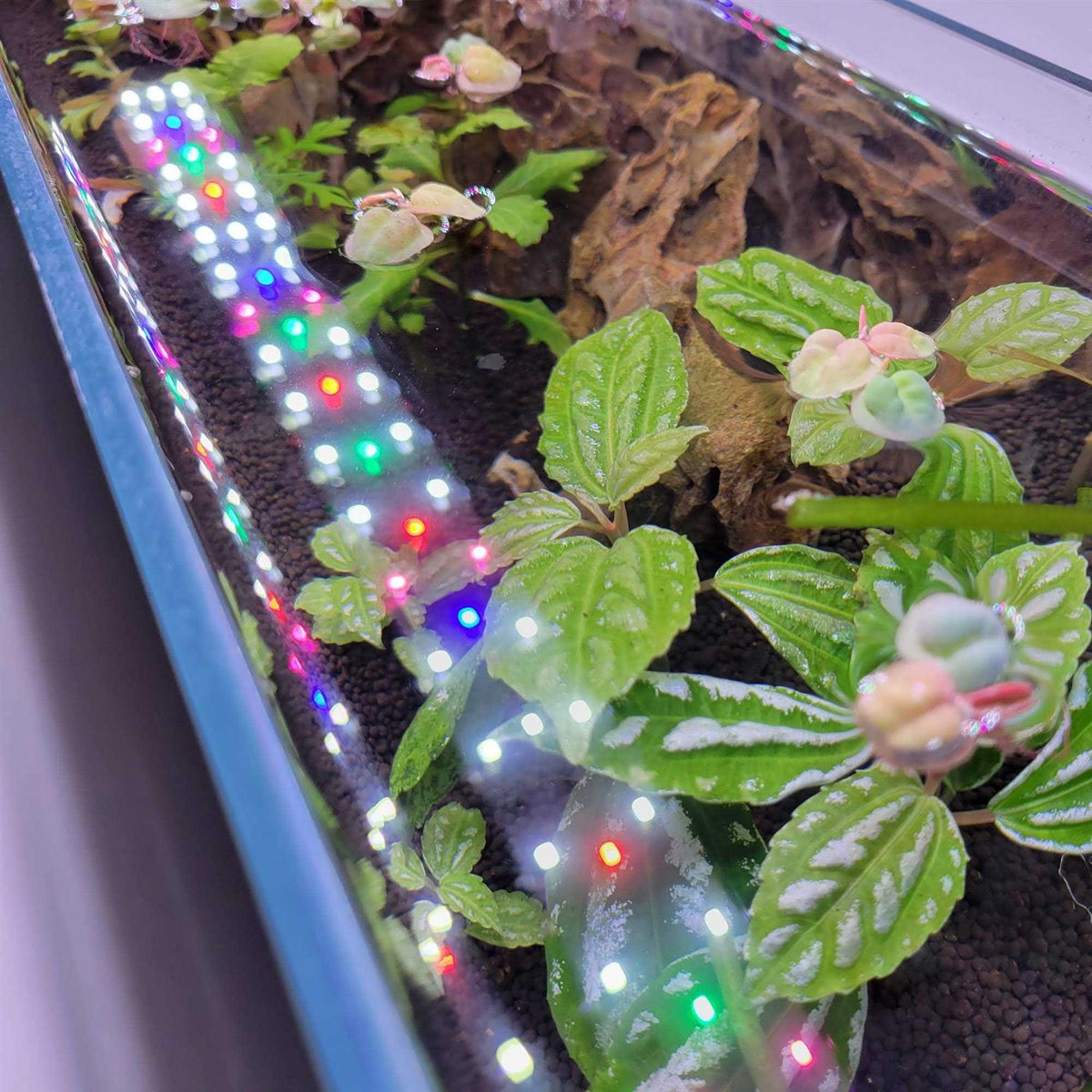 Full Spectrum LED Aquarium Light M412