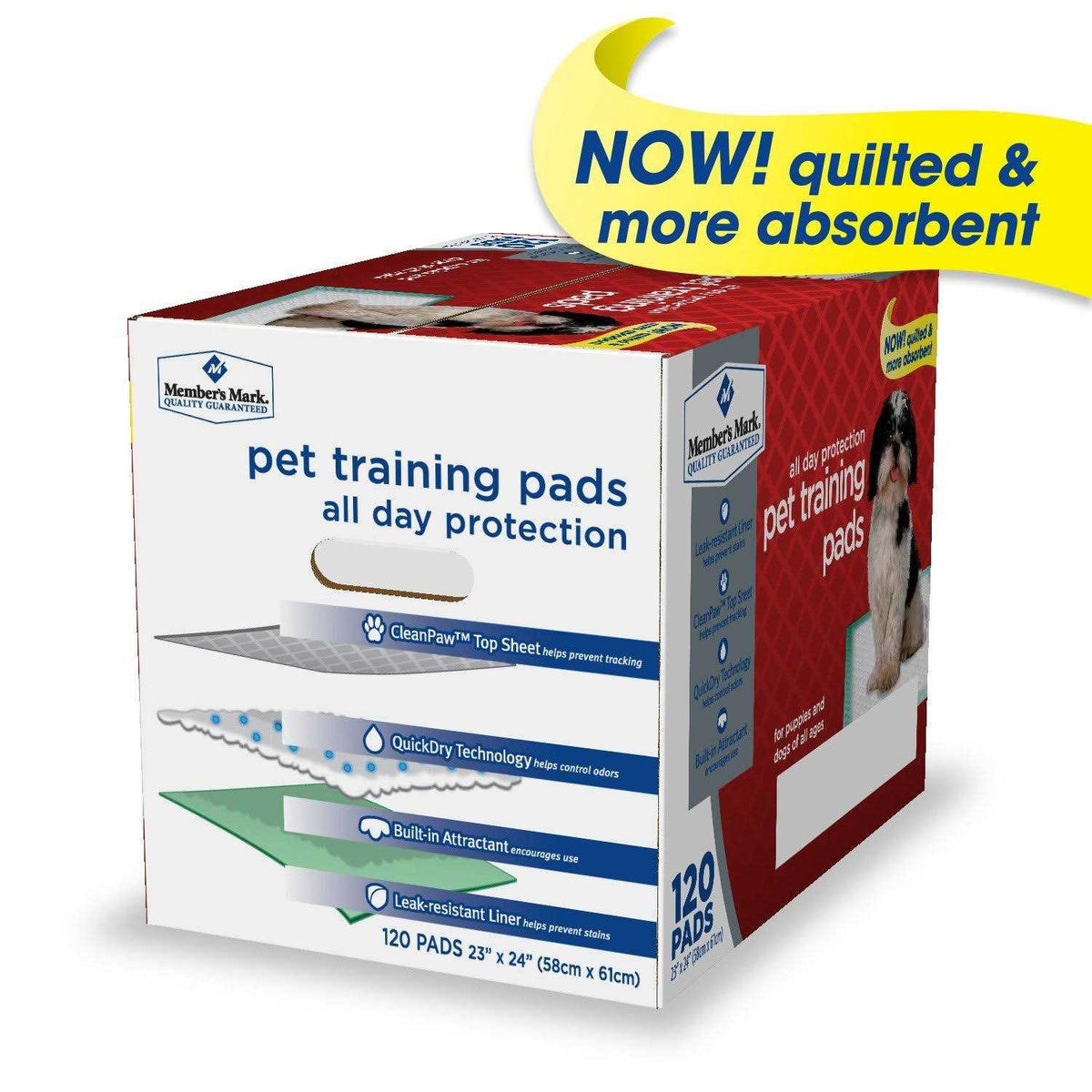 Pet Training Pads B994599
