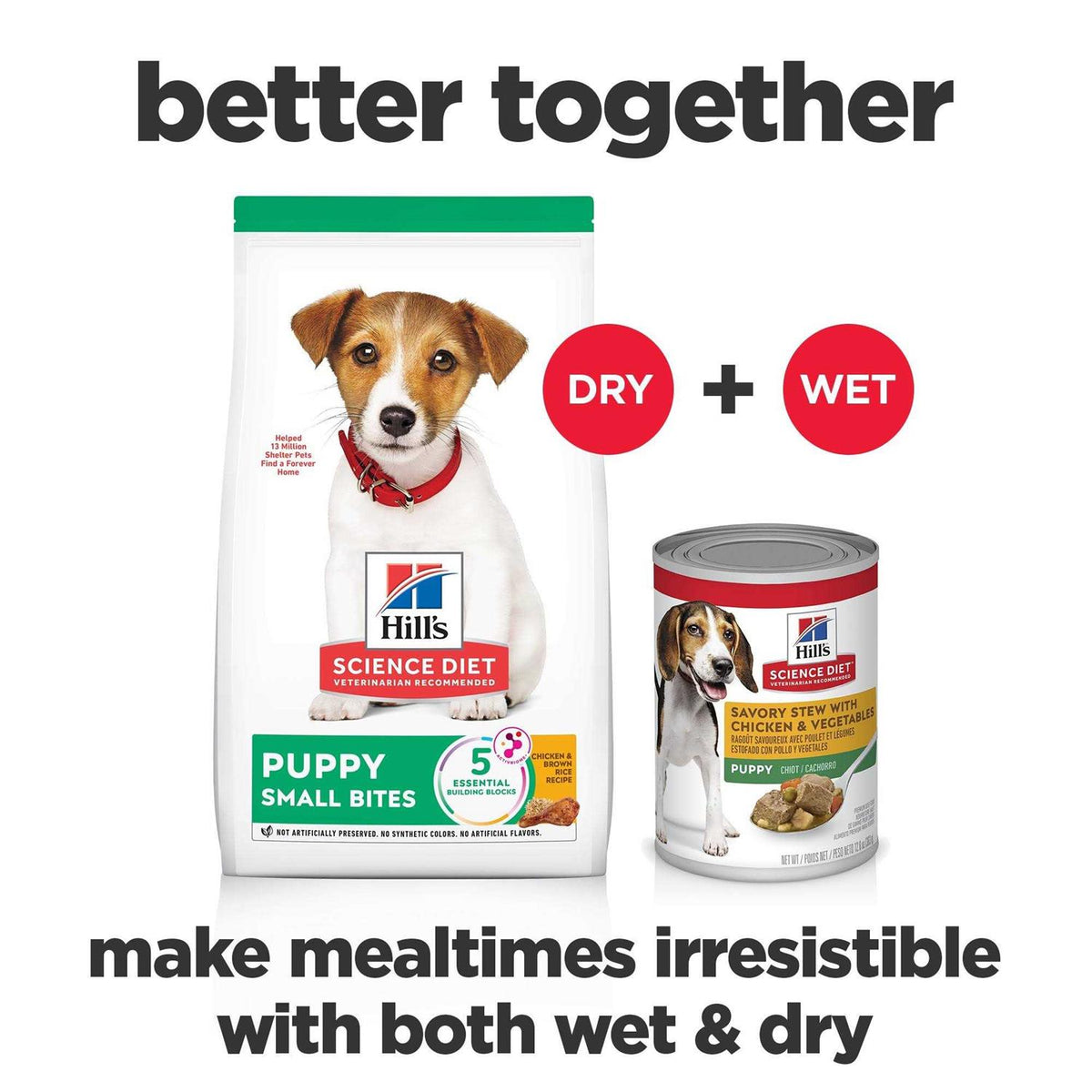 Dry Dog Food C5641