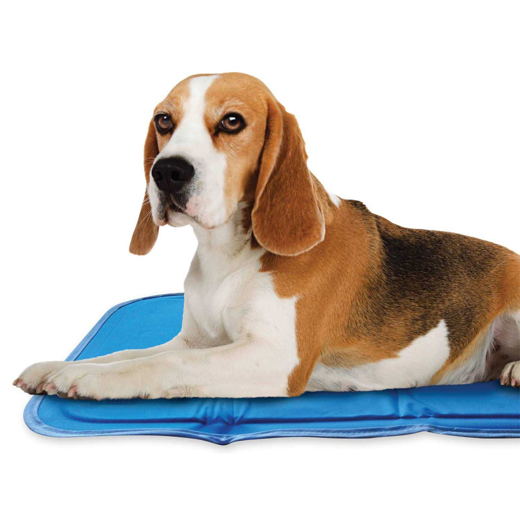 Cool Pet Pad D77197