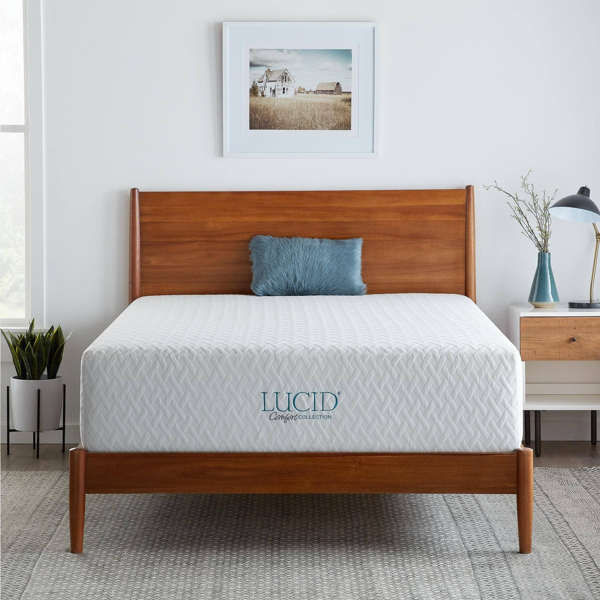 Queen Plush Gel Memory Foam Mattress F188