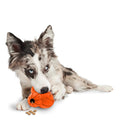 Pet Supplies A277993