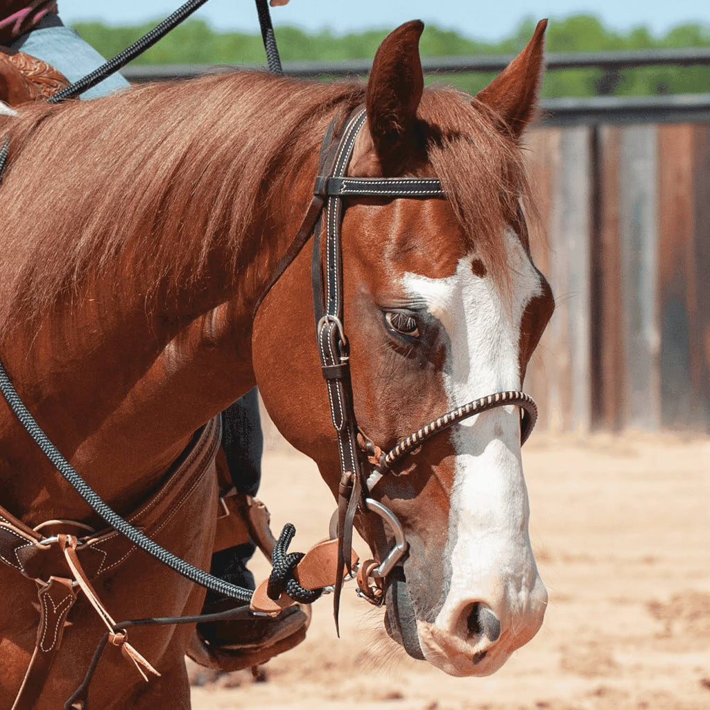 Chocolate Single Rope Noseband L7323