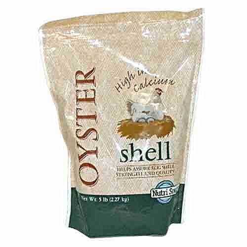Oyster Shell E5372
