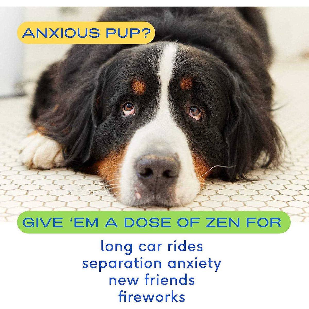 Calming Chews for Dogs E776709