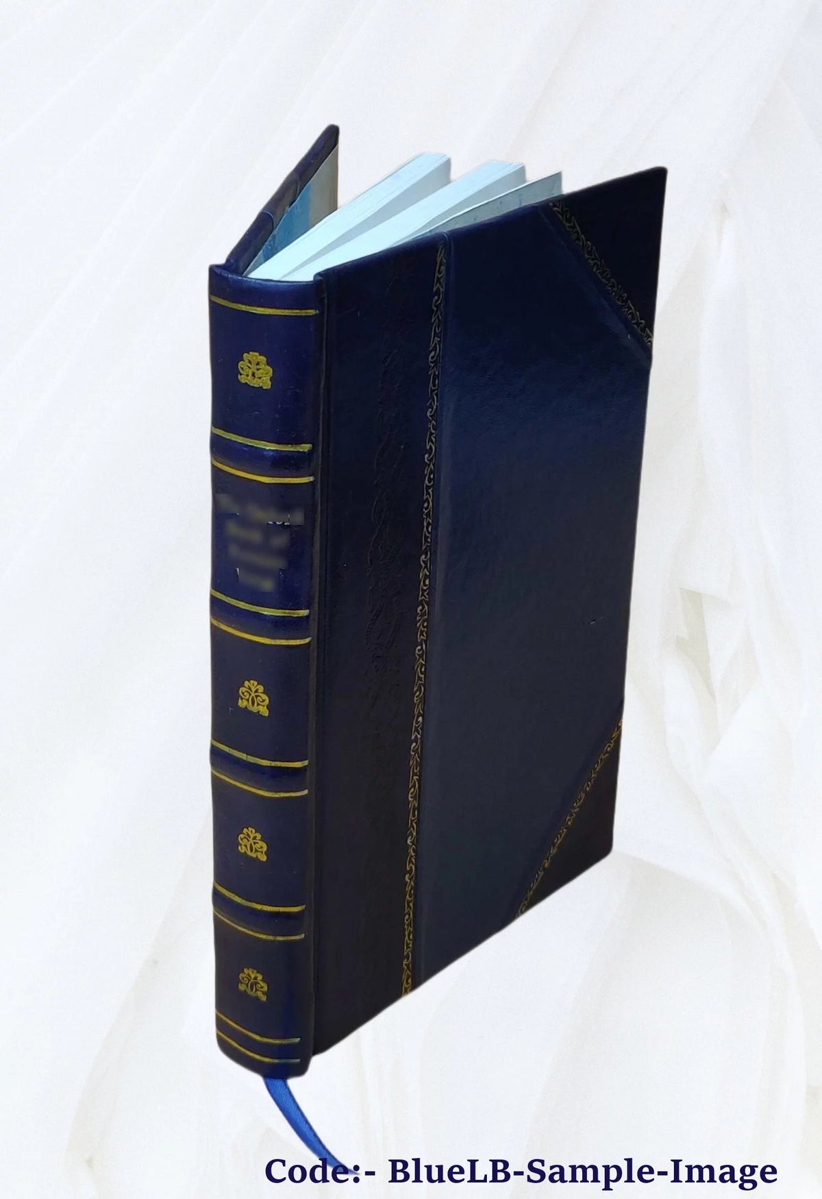 Leather Bound Book W5656