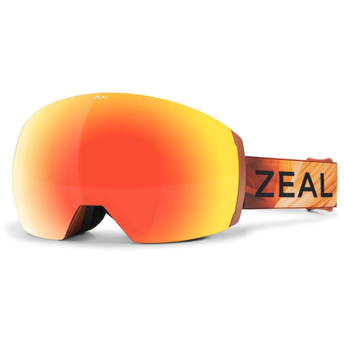 Snow Goggles D168599