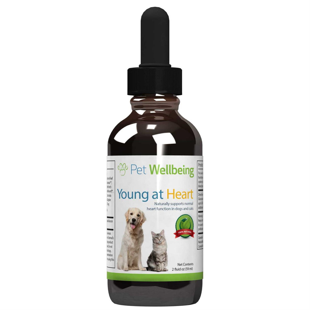 Young at Heart for Cats H113