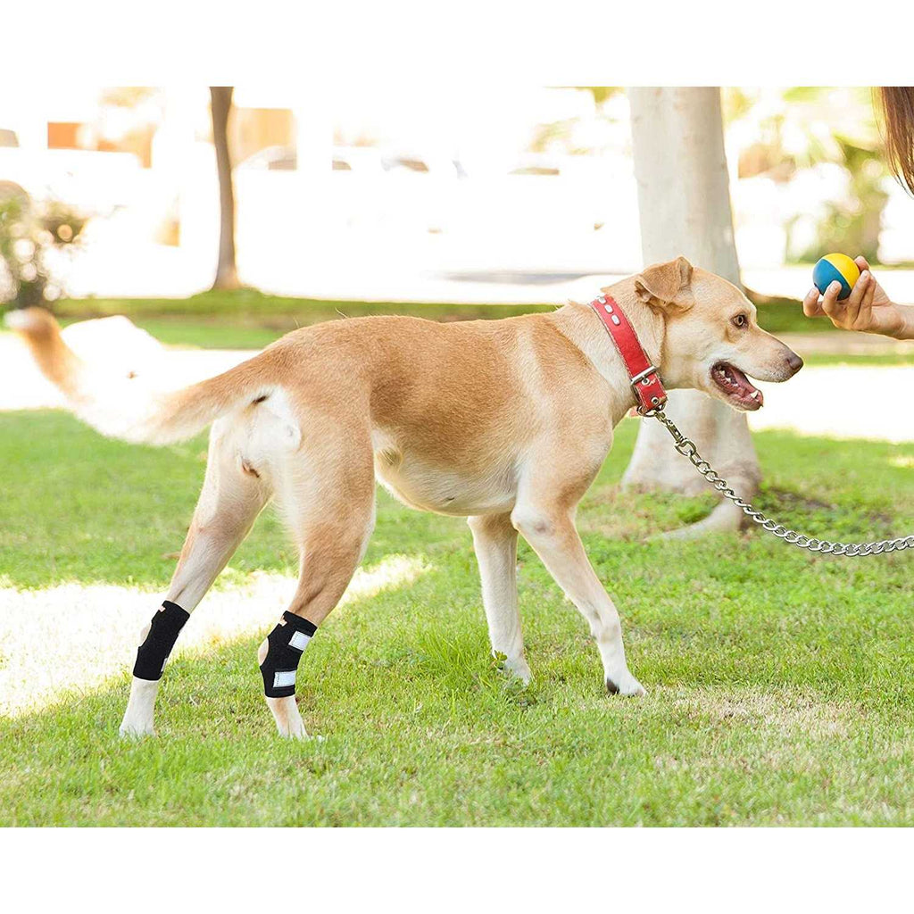 Dog Rear Leg Hock Ankle Support with Reflective Straps E415