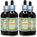 Organic Dried Leaves and Flowers Alcohol-Free Liquid Extract N179019