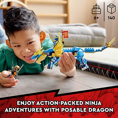 Posable Dragon Building Kit C116659