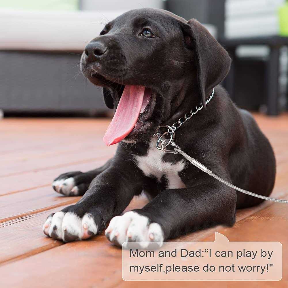 Reflective Dog Tie Out Cable D98628