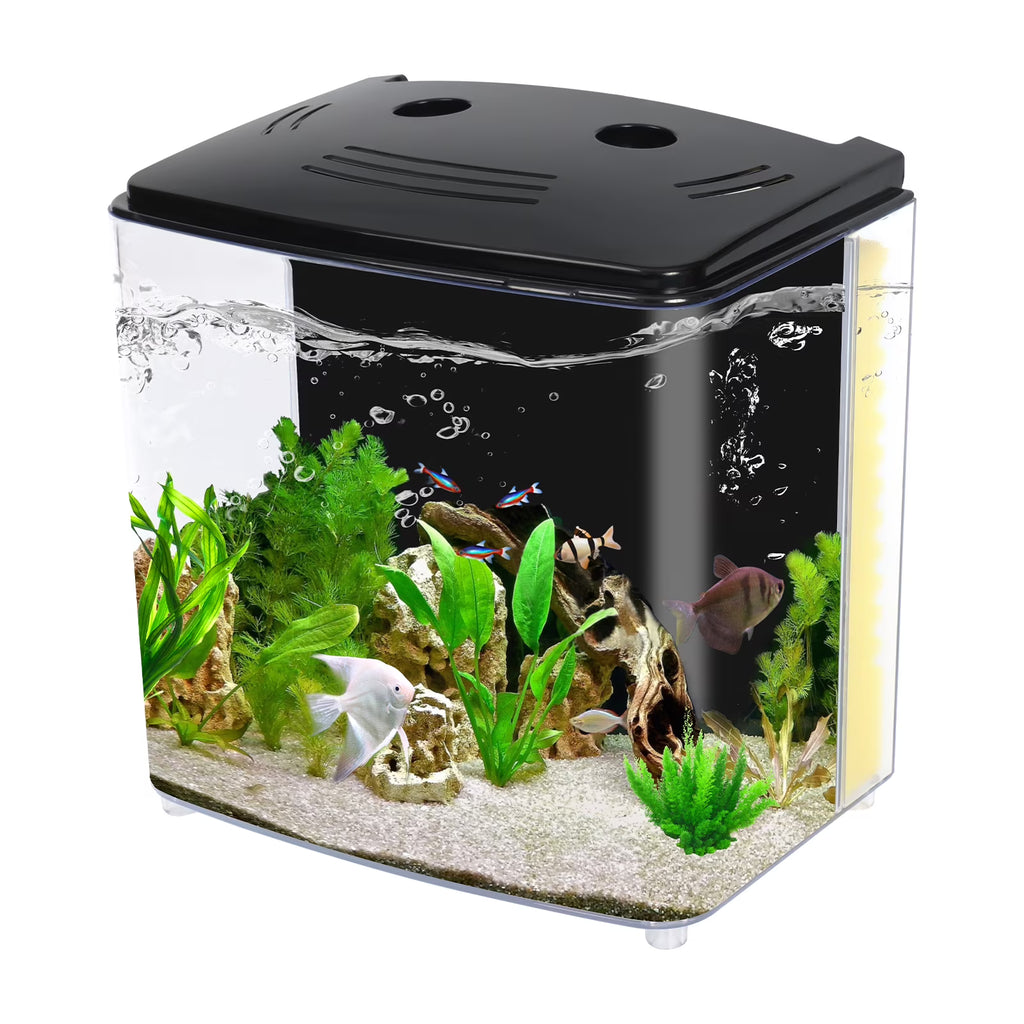 1.2 Gallon Betta Fish Tank Starter Kit with LED Light and Water Filter Pump R982