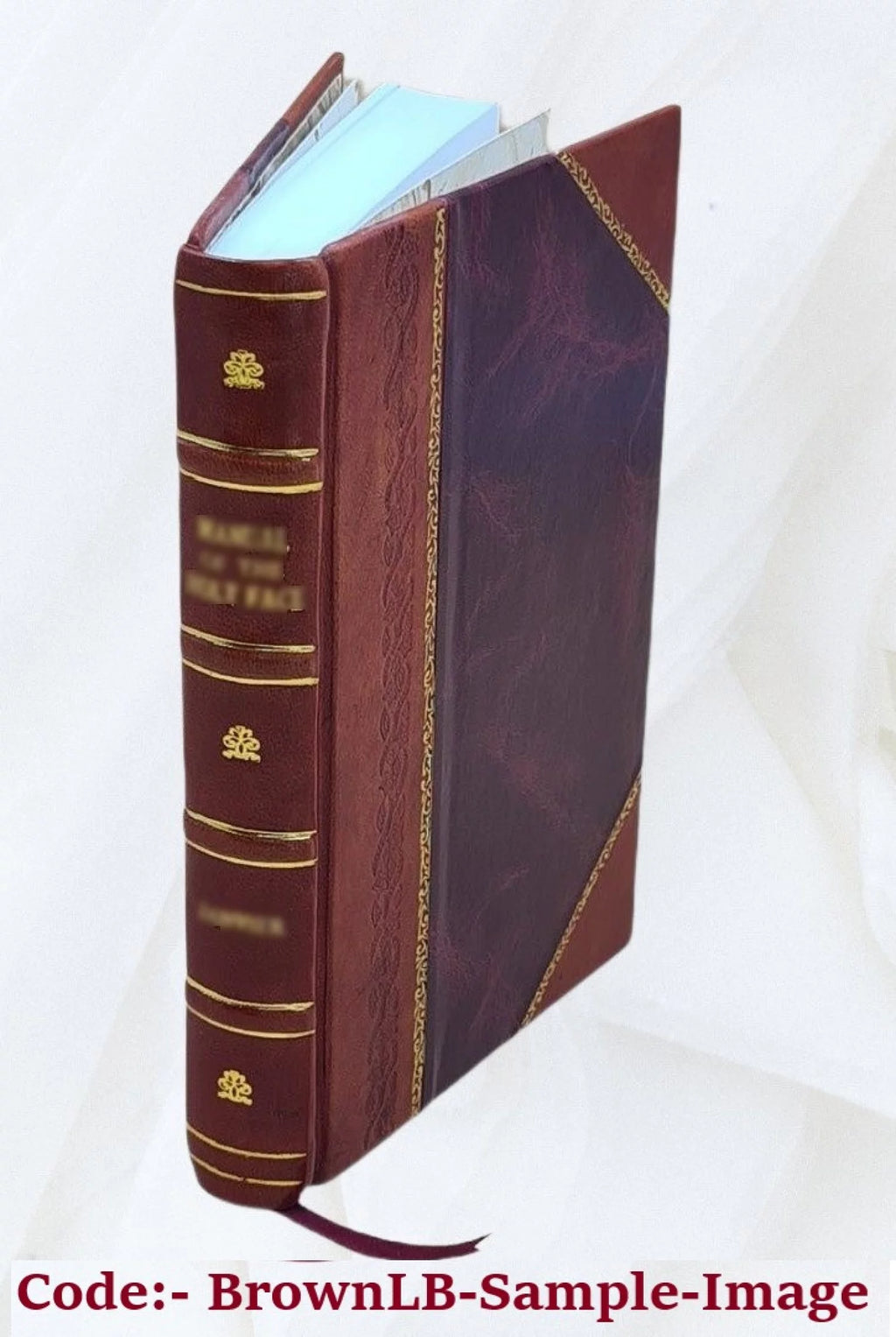 Leather Bound Book W5656