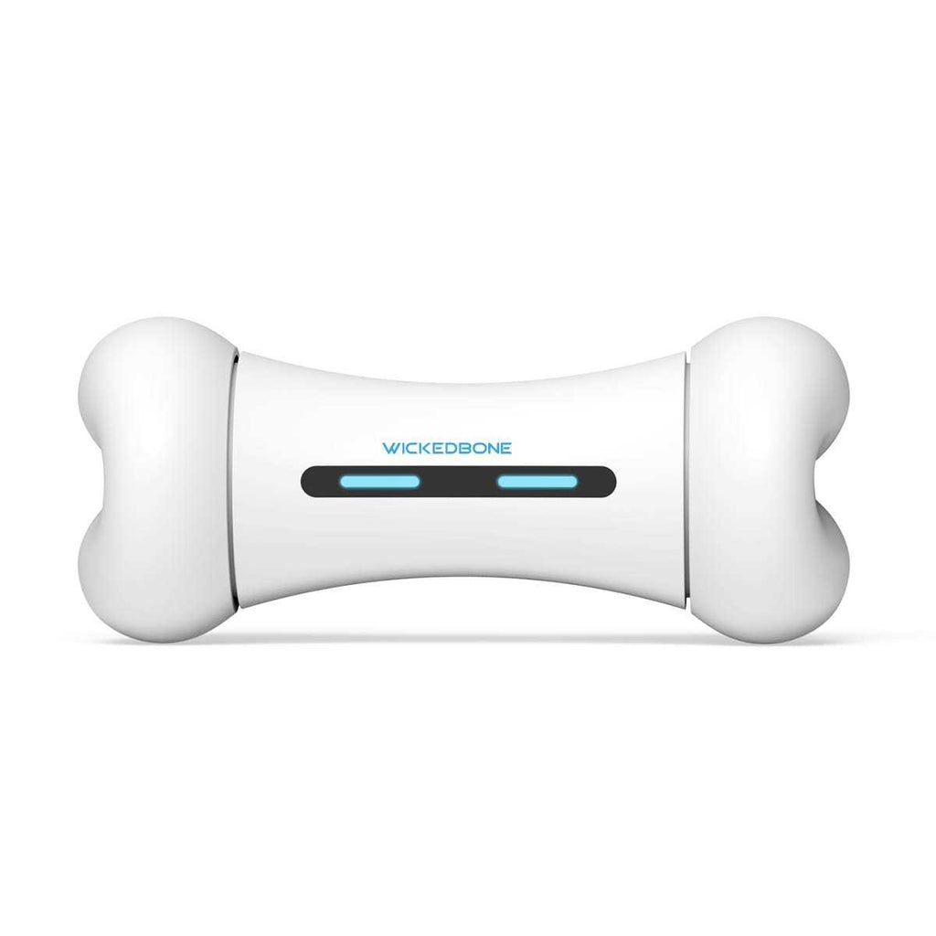 Automatic Interactive Dog Toys K300761