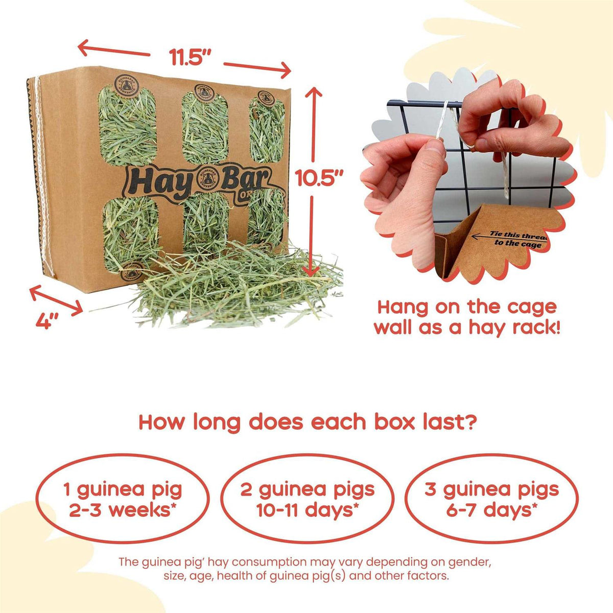 Timothy Hay for Guinea Pigs Rabbits D204