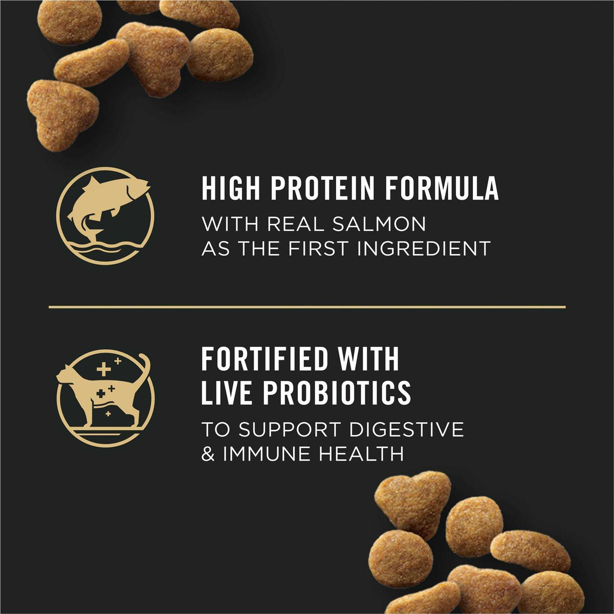 Salmon & Rice Dry Cat Food X478