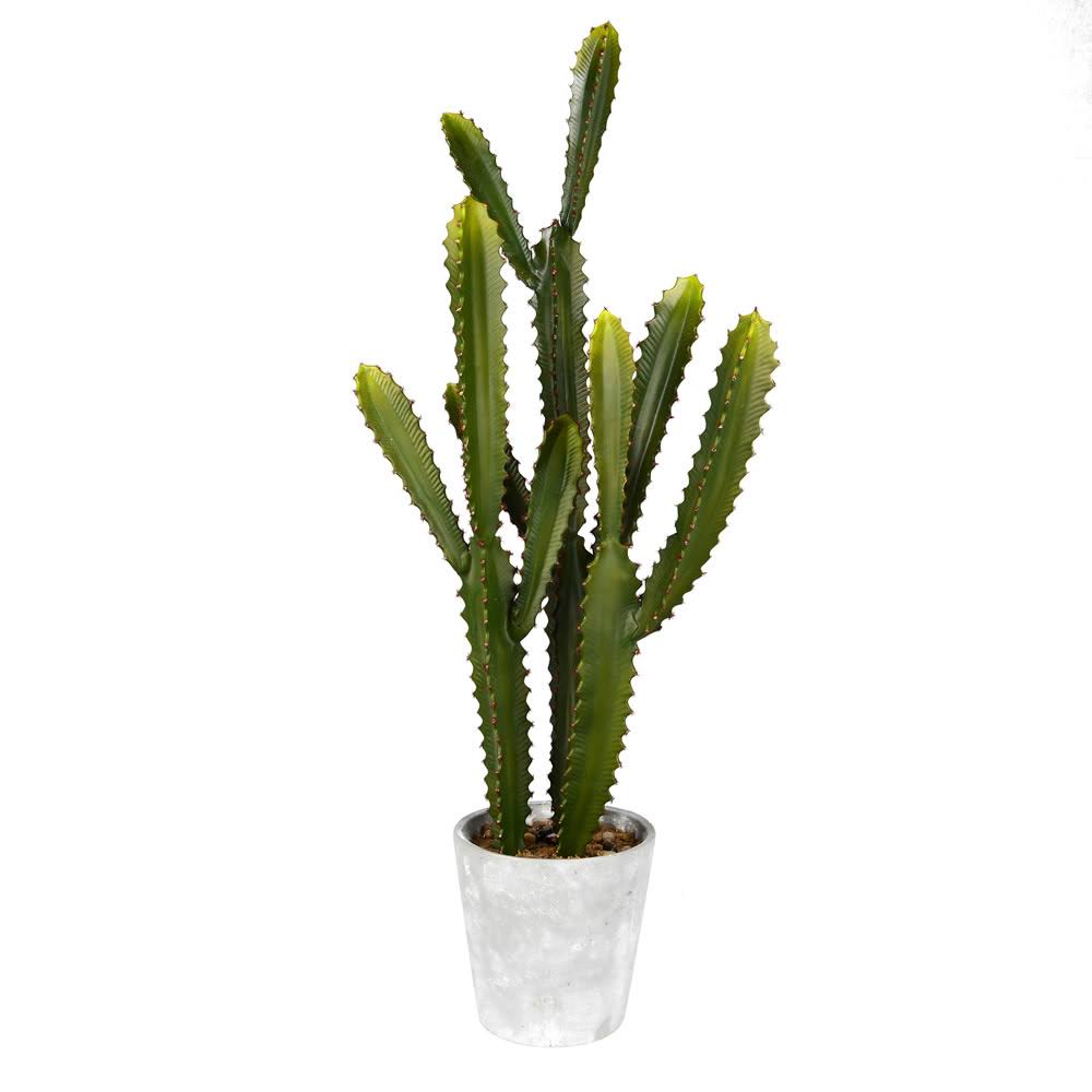 Potted Cactus in Concrete Pot G3883