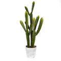 Potted Cactus in Concrete Pot G3883