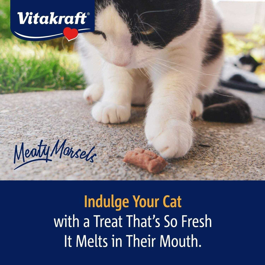 Cat Treat Chicken/Salmon H5653