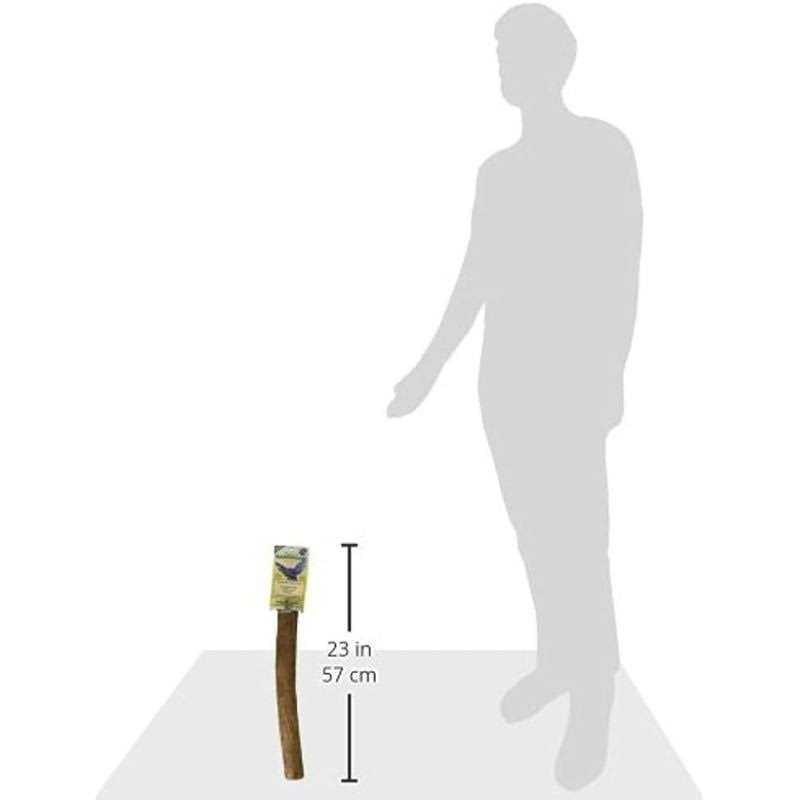 Hardwood Bird Perch D46892