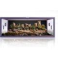 85 Gallon Reptile Tank B7472