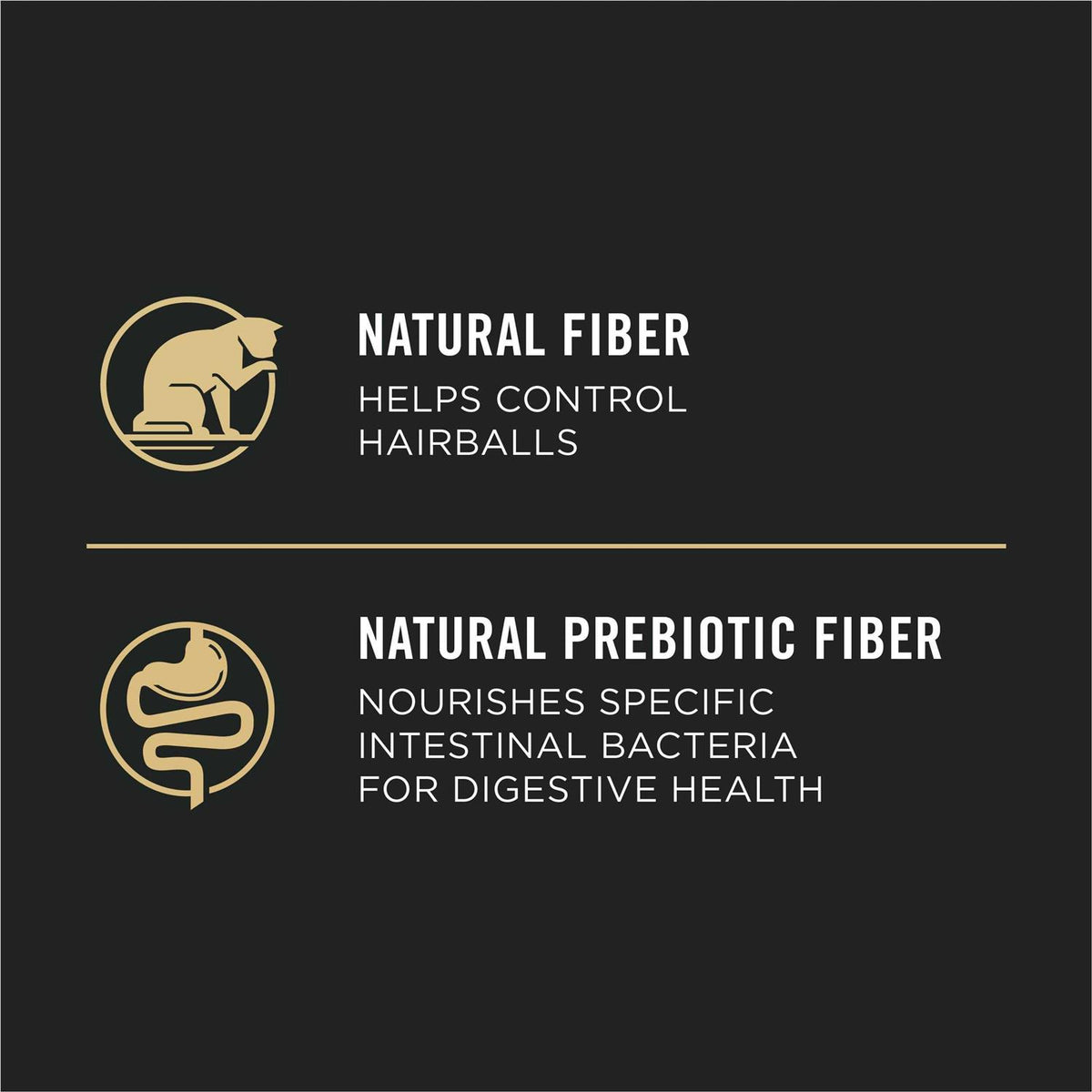 Salmon & Rice Dry Cat Food X478