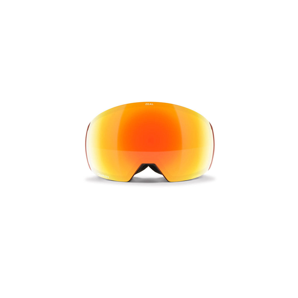 Snow Goggles D168599