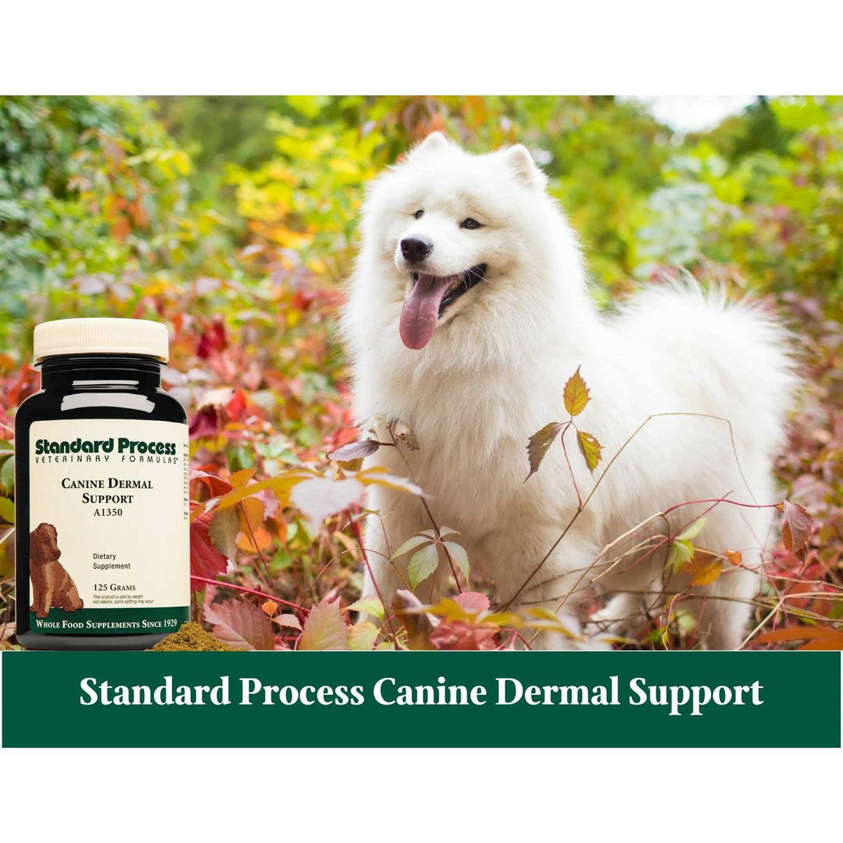 Canine Dermal Support Pet Supplies O19068