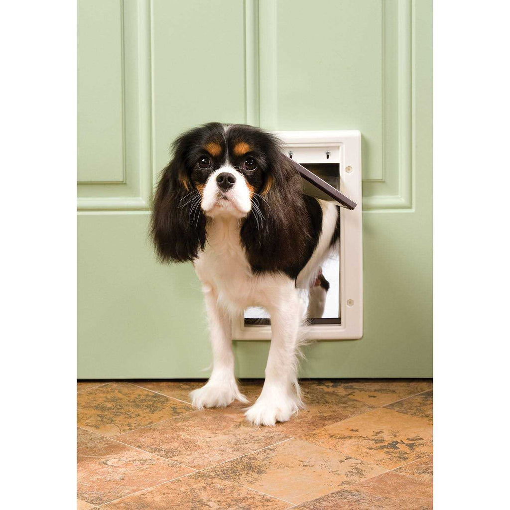 Plastic Pet Door C43512