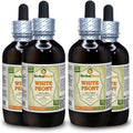 White Peony Organic Dried Roots Liquid Extract 4x4 fl.oz D303008