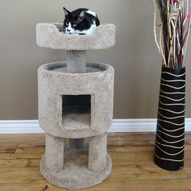 Beige Cat House N95495