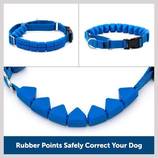 Soft Point Training Collar Q523