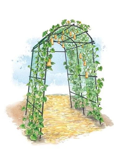 Lightweight Metal Garden Trellis F539964