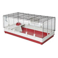 Rabbit Home X6145