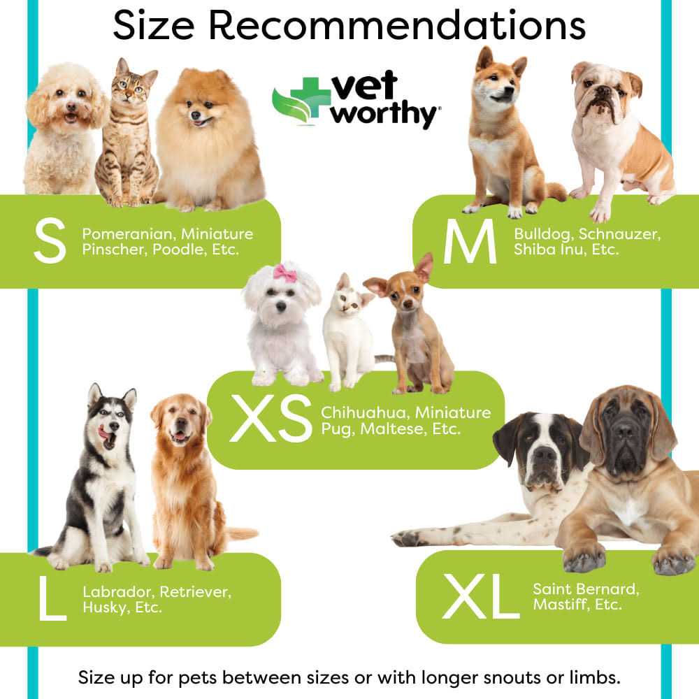 Inflatable Protective Dog Collar D126