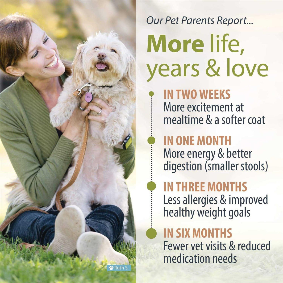 Low Protein Diet Pet Supplies I214