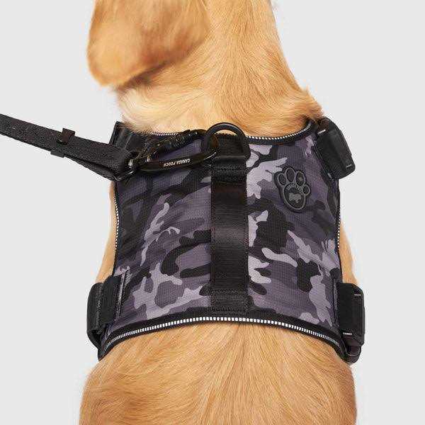 Complete Control Dog Harness N323340