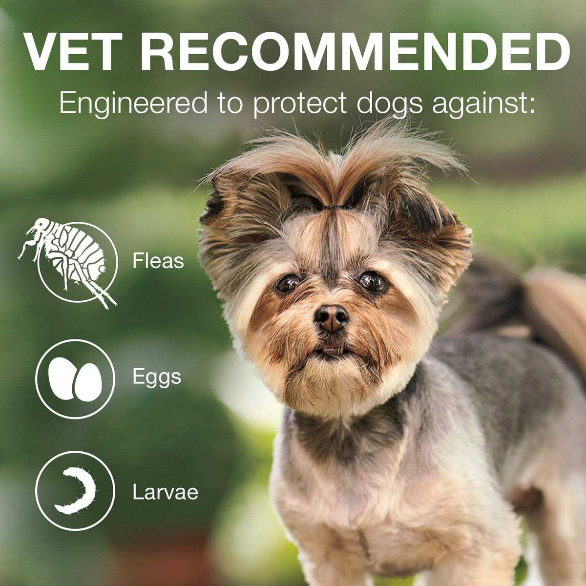 Advantage II for Dogs Z16506