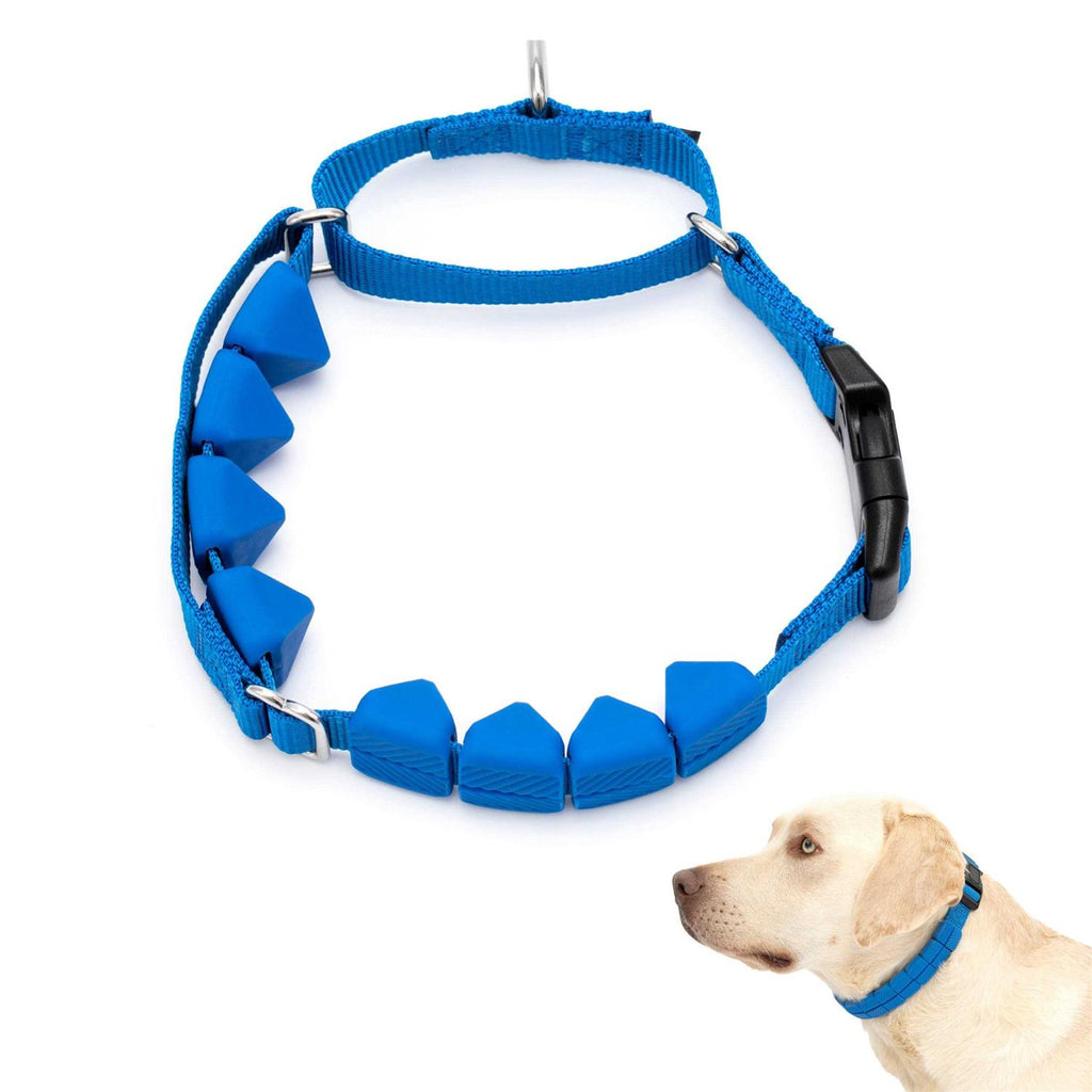 Soft Point Training Collar Q523