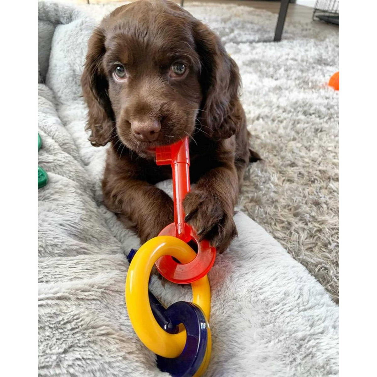 Puppy Chew Teething Keys O147