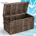 Rustic Brown Trunk G638346