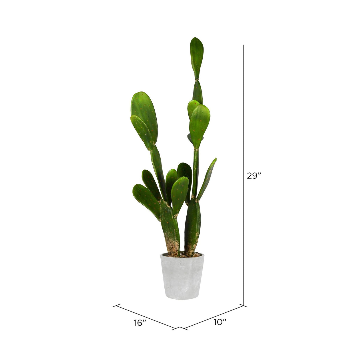 Potted Cactus in Concrete Pot G3883