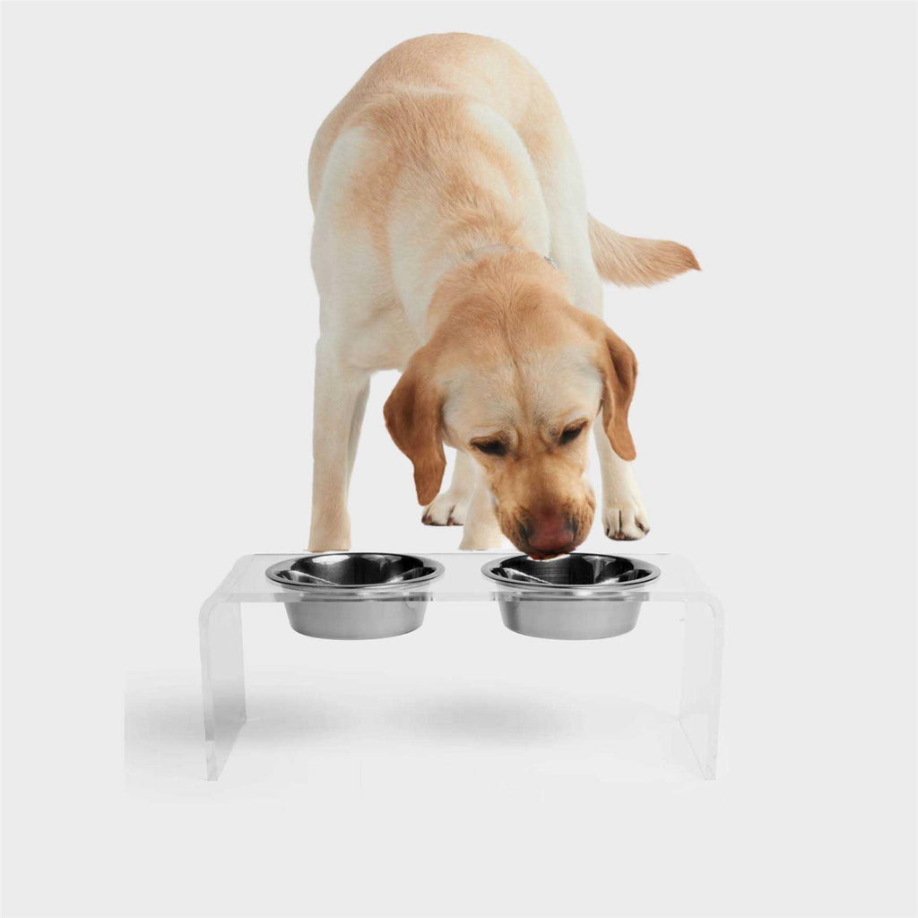 Clear Double Bowl Pet Feeder E31816