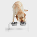 Clear Double Bowl Pet Feeder E31816