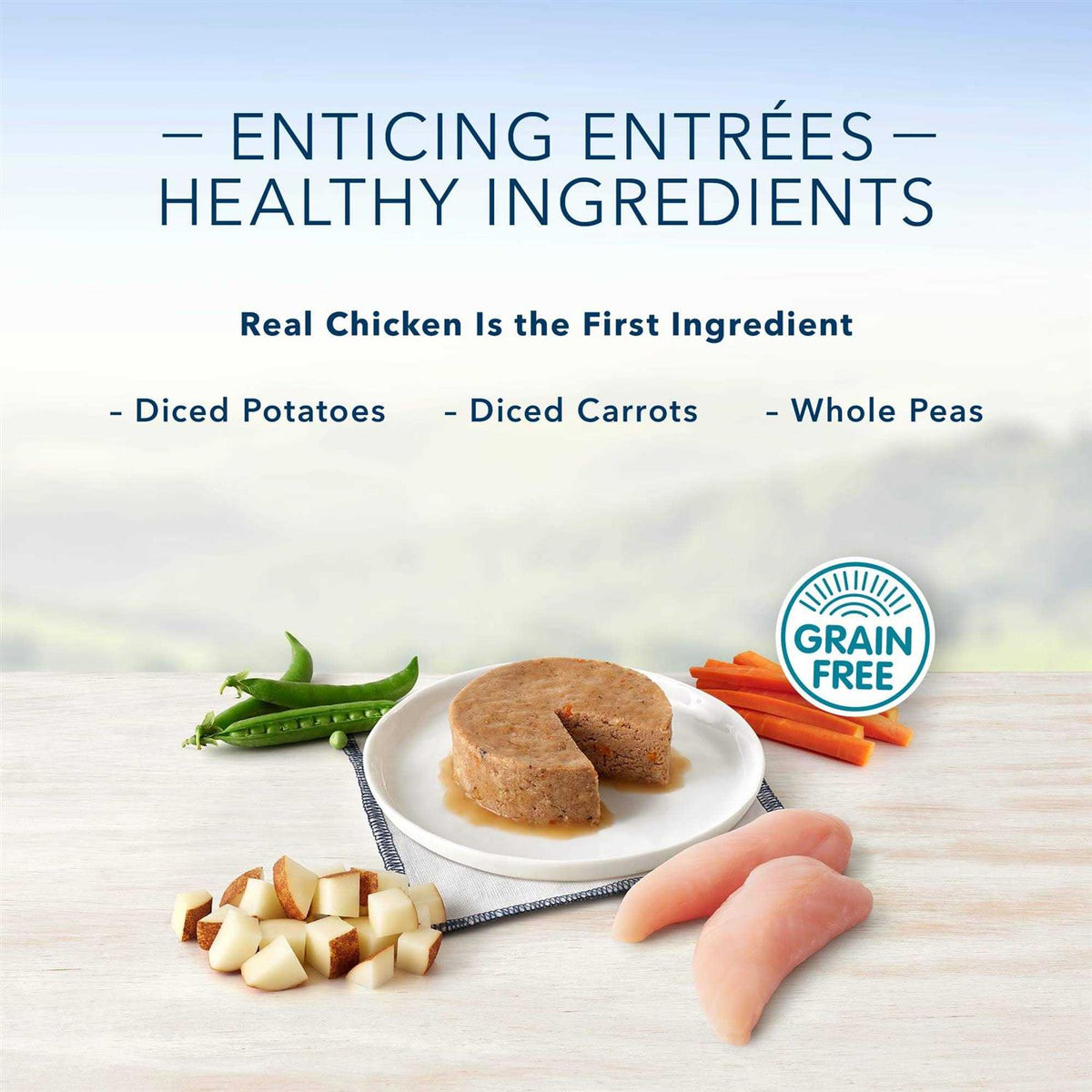 Grilled Chicken Flavor Pate Small Breed Dog Food B25651