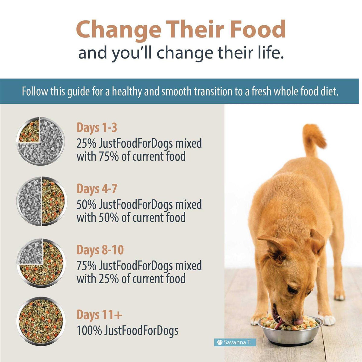 Low Protein Diet Pet Supplies I214
