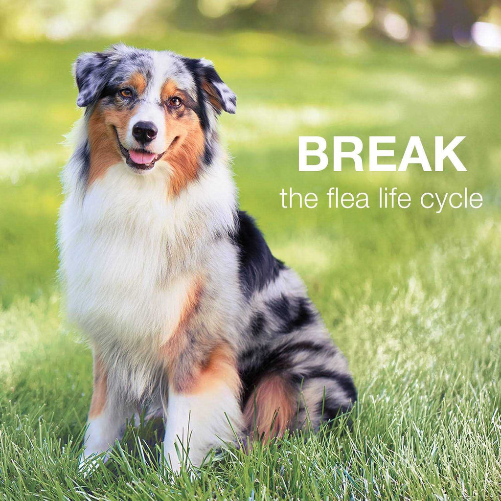 Advantage II for Dogs Z16506