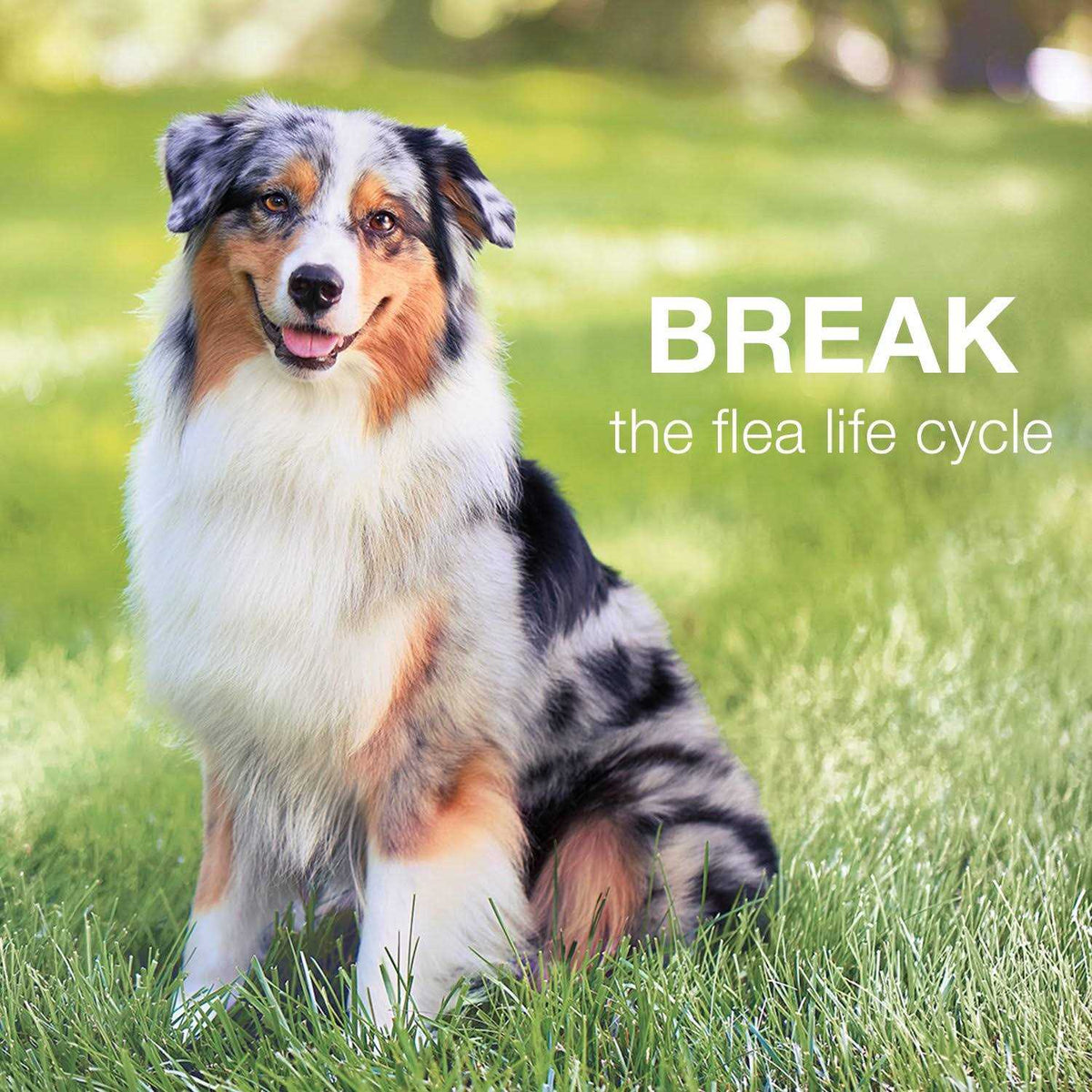Advantage II for Dogs Z16506
